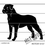 HOTDXF-0107-BOXER DOG